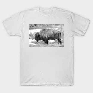 The Spirit Of The Buffalo  - Black And White T-Shirt